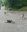 IMG_20220611_173848.jpg