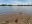 IMG_20200602_124555_2.jpg