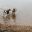 IMG_20200609_181347.jpg