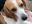 IMG_20210513_145925.jpg