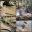 InCollage_20220311_210614438.jpg