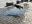 InCollage_20220422_223705271.jpg