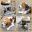 InCollage_20220525_222528098.jpg