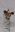 ftsf-d58ff027-790d-42ff-ba83-f8c633ffcaf2.jpeg