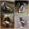 inCollage_20200326_222454352.jpg