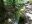 inCollage_20200606_213450051.jpg