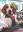 inCollage_20200830_162845385.jpg