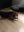 IMG-20190118-WA0001.jpg