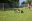 IMG_0053_2021-07-18-2.JPG