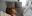 20190129_115955.jpg