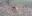 20190210_094124.jpg