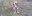 20190210_094154.jpg