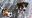 IMG-20190206-WA0001-2.jpg