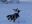 IMG-20190209-WA0016.jpg