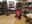 IMG_20190731_151335.jpg