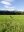 IMG_20190808_174544.jpg