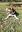 IMG_20200409_163849.jpg