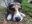 IMG_20200410_192007.jpg