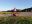 IMG_20200427_195456.jpg