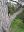 IMG_20200530_175905_1.jpg