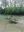 IMG_20200705_201036.jpg