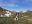 IMG_20220605_075651.jpg