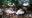 WP_20180927_15_47_20_Pro.jpg