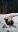 WP_20190205_13_08_53_Pro.jpg
