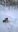WP_20190208_16_15_02_Pro-2.jpg