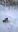 WP_20190208_16_15_02_Pro.jpg