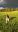 WP_20190509_19_40_51_Pro.jpg