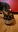 WP_20190512_19_32_33_Pro.jpg