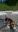 WP_20190524_15_28_50_Pro_2019-05-24-2.jpg