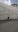 WP_20190615_10_25_06_Pro_2019-06-16.jpg