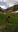 WP_20190615_11_49_26_Pro_2019-06-16.jpg