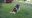 WP_20190721_15_53_02_Pro.jpg