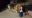 IMG-20191225-WA0000.jpg