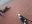 20221013_172836.jpg