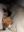 20221021_054159.jpg