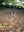 20221024_093716.jpg