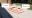 IMG-20220814-WA0007.jpeg