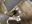 4D537F92-F740-4D9B-A35E-6EBF73507901.jpeg