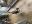 B7485D47-8634-40EB-90C1-B337B9AB1364.jpeg