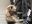E0FF0551-812F-4A56-B179-42AFDDD205D6.jpeg