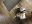 F8CADF2F-C151-438E-81B4-167292ED89EE.jpeg