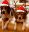 54C2C66D-118D-47C9-8FF2-B24D2557DA4C.jpeg