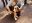 5AECA443-E1BB-496B-9D84-BF82017EAEC2.jpeg