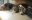 63A0EC59-F2B0-4107-B94D-279BA1AB81BD.jpeg