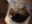 67844E0A-DF10-4C69-8F80-0BEE3CBAED96.jpeg