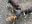 6EAC3AFC-446D-4341-A9AE-0DB401D3F783.jpeg